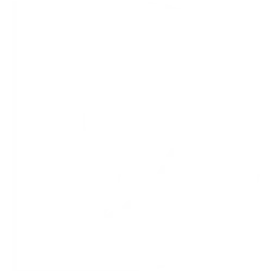 madgic_distribution_logo_blanc